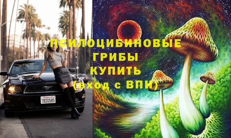 Галлюциногенные грибы Cubensis  Ликино-Дулёво 